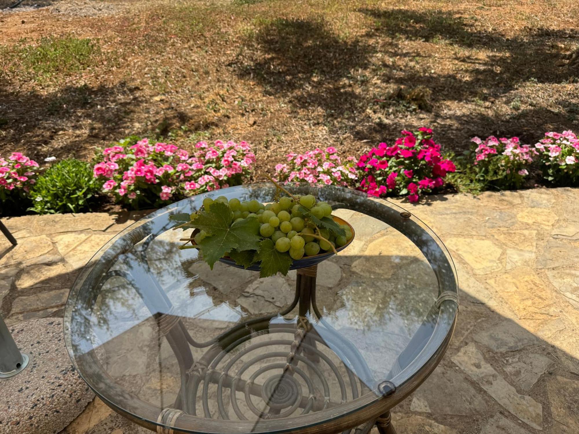 Le Casette Di Campagna #2 Appartement *
